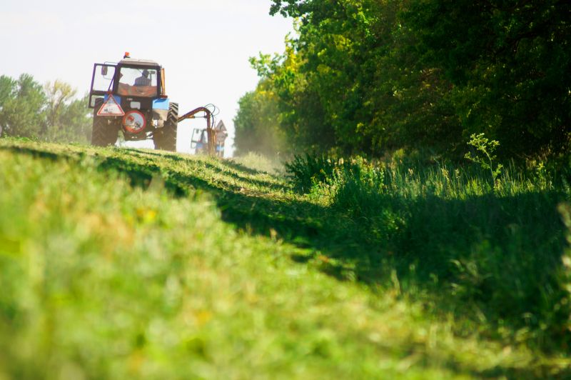 Fence Line Cutting