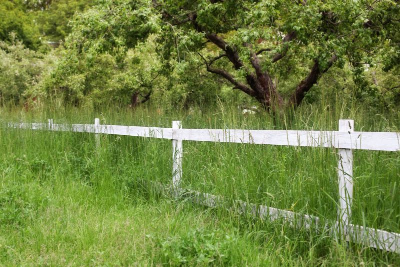 Fence Line Cutting
