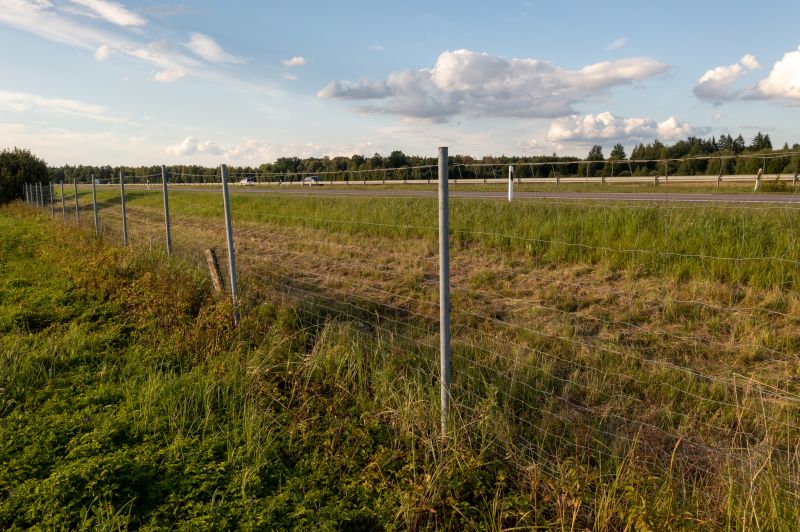 Fence Line Cutting detail