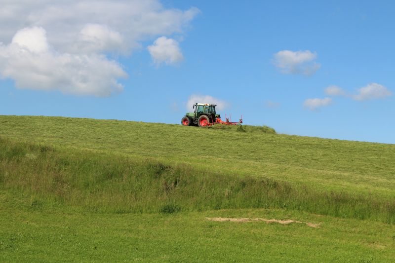 Tractor Mowing